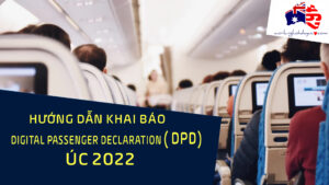 huong dan khai bao DPD