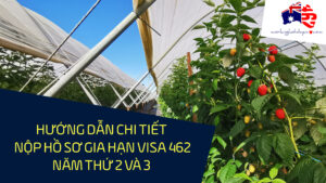 huong dan gai han nam2 visa 462