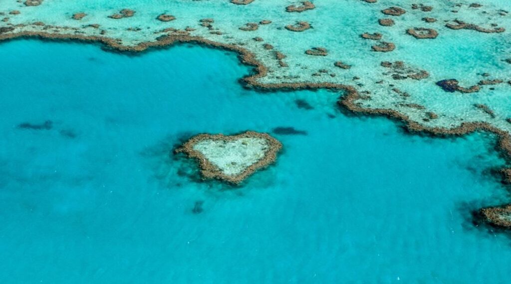Heart Reef ở  Rạn san hô Great Barrier Reef Marine Park
