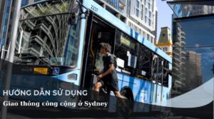 gia ve phuong tien cong cong o Sydney