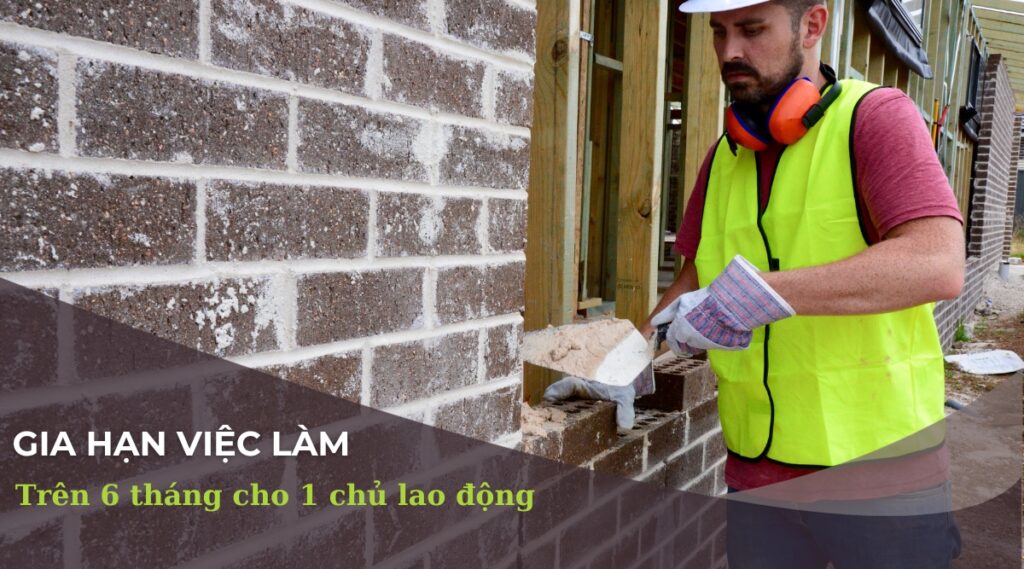 làm việc 6 tháng 1 chủ