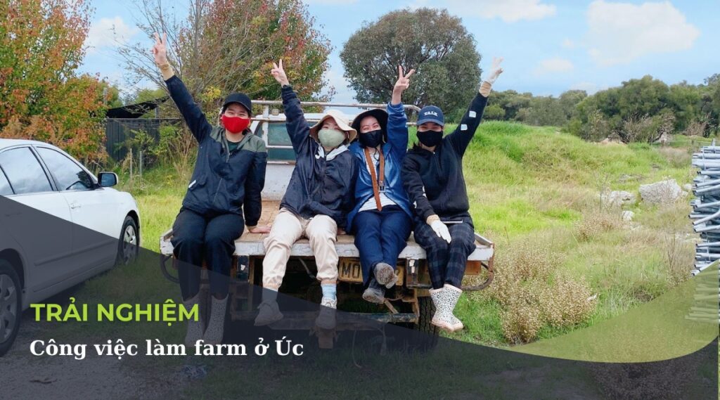lam farm o UC
