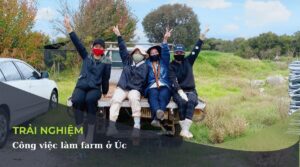 lam farm o UC
