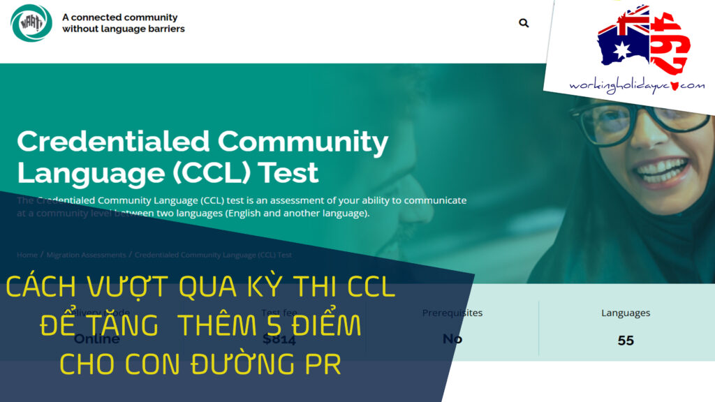 khóa hoc CCL giá rẻ