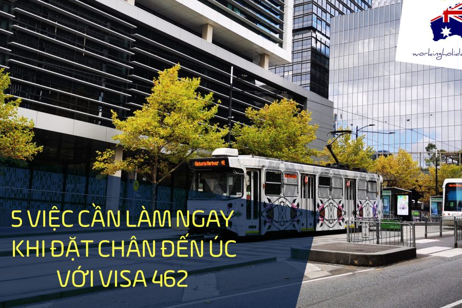 5 Viec lam ngay