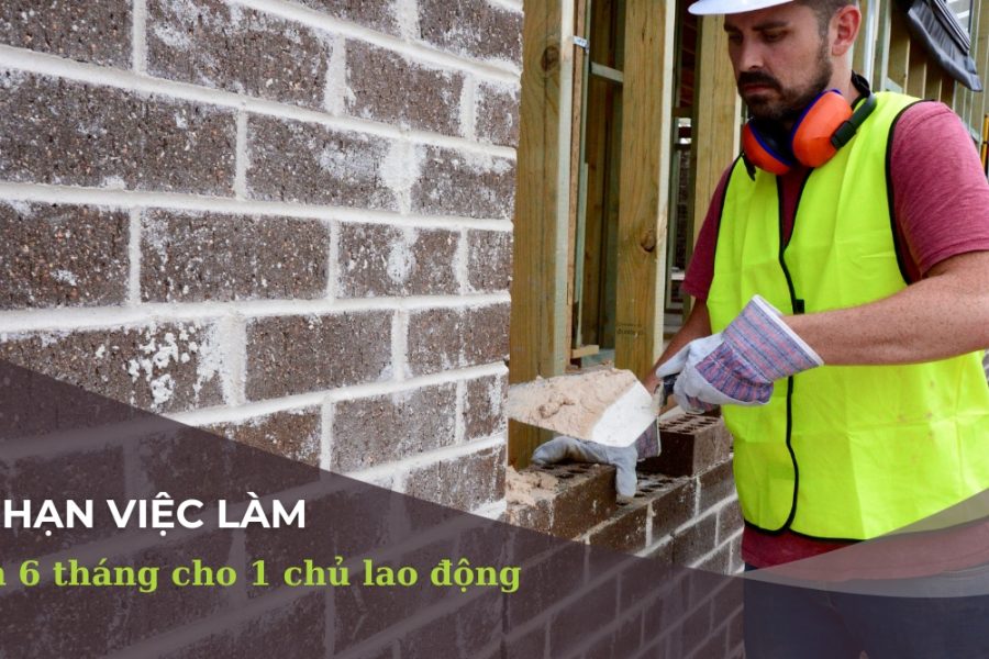 làm việc 6 tháng 1 chủ