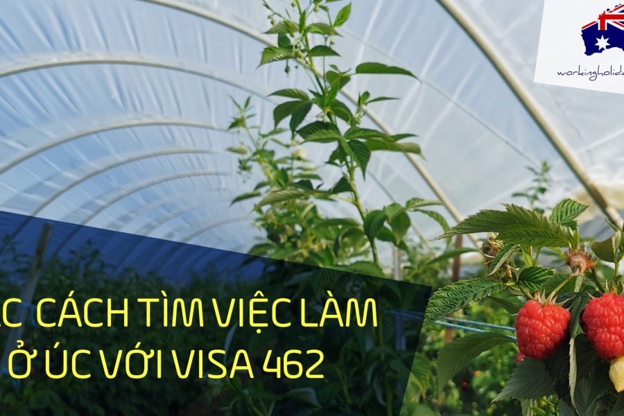 CAC CACH TIM VIEC