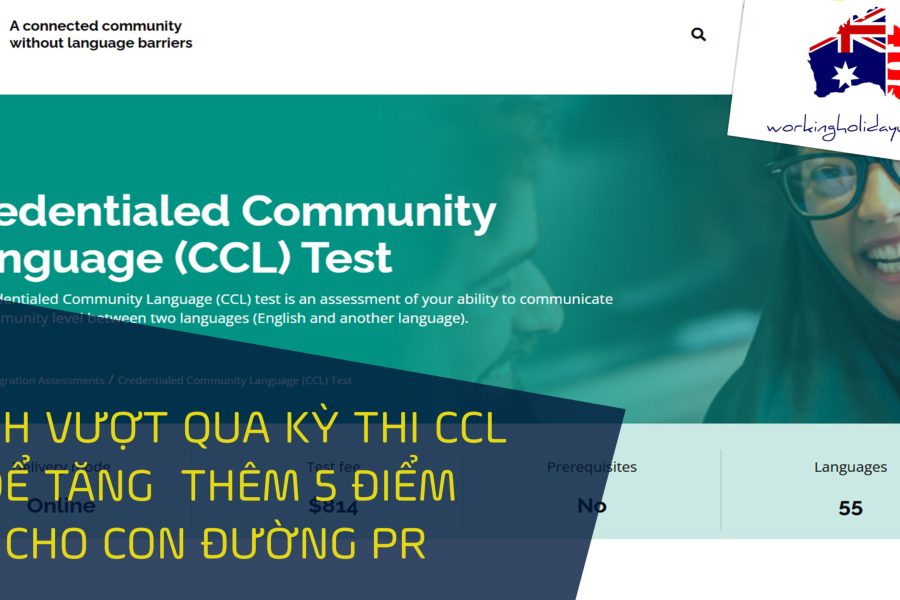 khóa hoc CCL giá rẻ