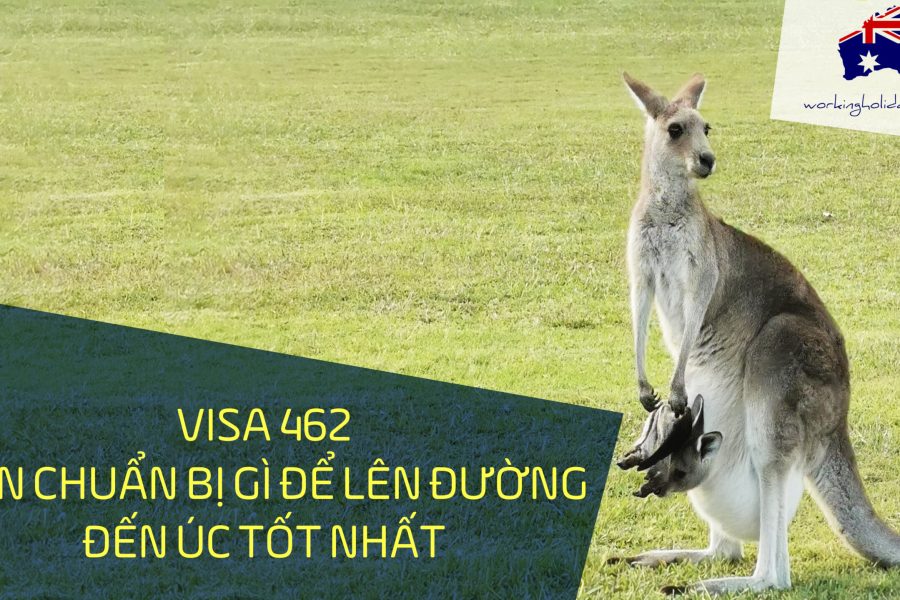 CHUAN BI DENUC