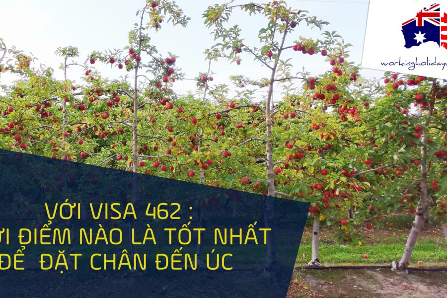 DEN UC THOI DIEM NAO