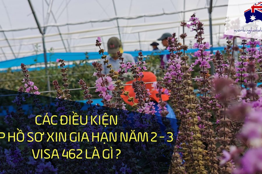 DK GIA HAN NAM 2