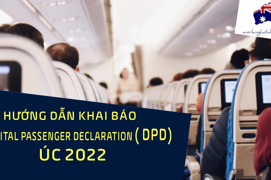huong dan khai bao DPD