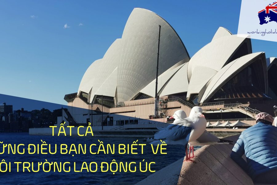 MOI TRUONG LAO DONG UC