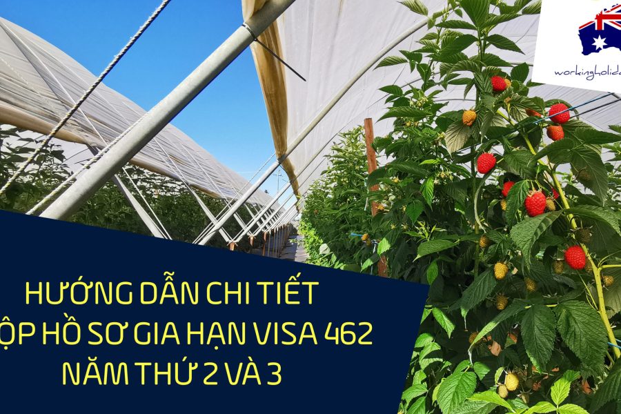 huong dan gai han nam2 visa 462