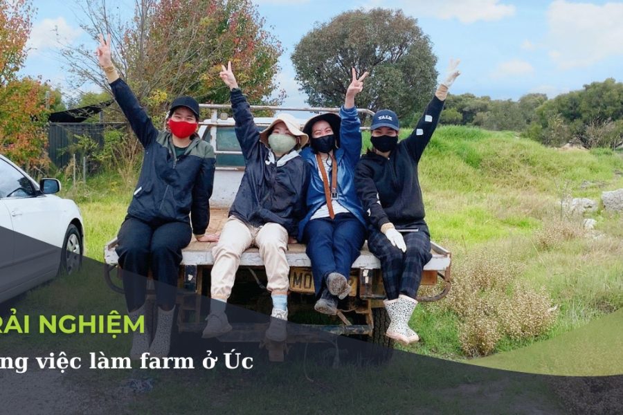 lam farm o UC