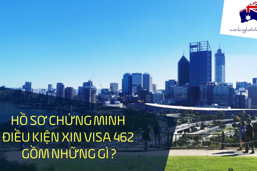 ho so 462